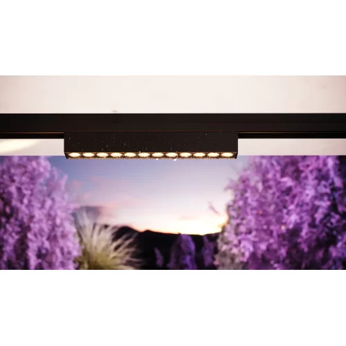 Уличный трековый светильник Points Exility IP 4000К 24Вт 36° черный O-TR02-2-S-24WB4K — фото 11, Светильники для уличной трековой системы освещения Exility IP, Maytoni