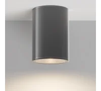 Уличный потолочный светильник Bar O306CL-L12GF